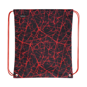 Ранец Loop Plus Spider